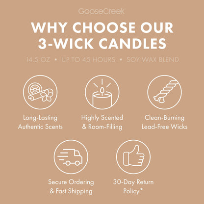 Beach Dreams 3-Wick Candle