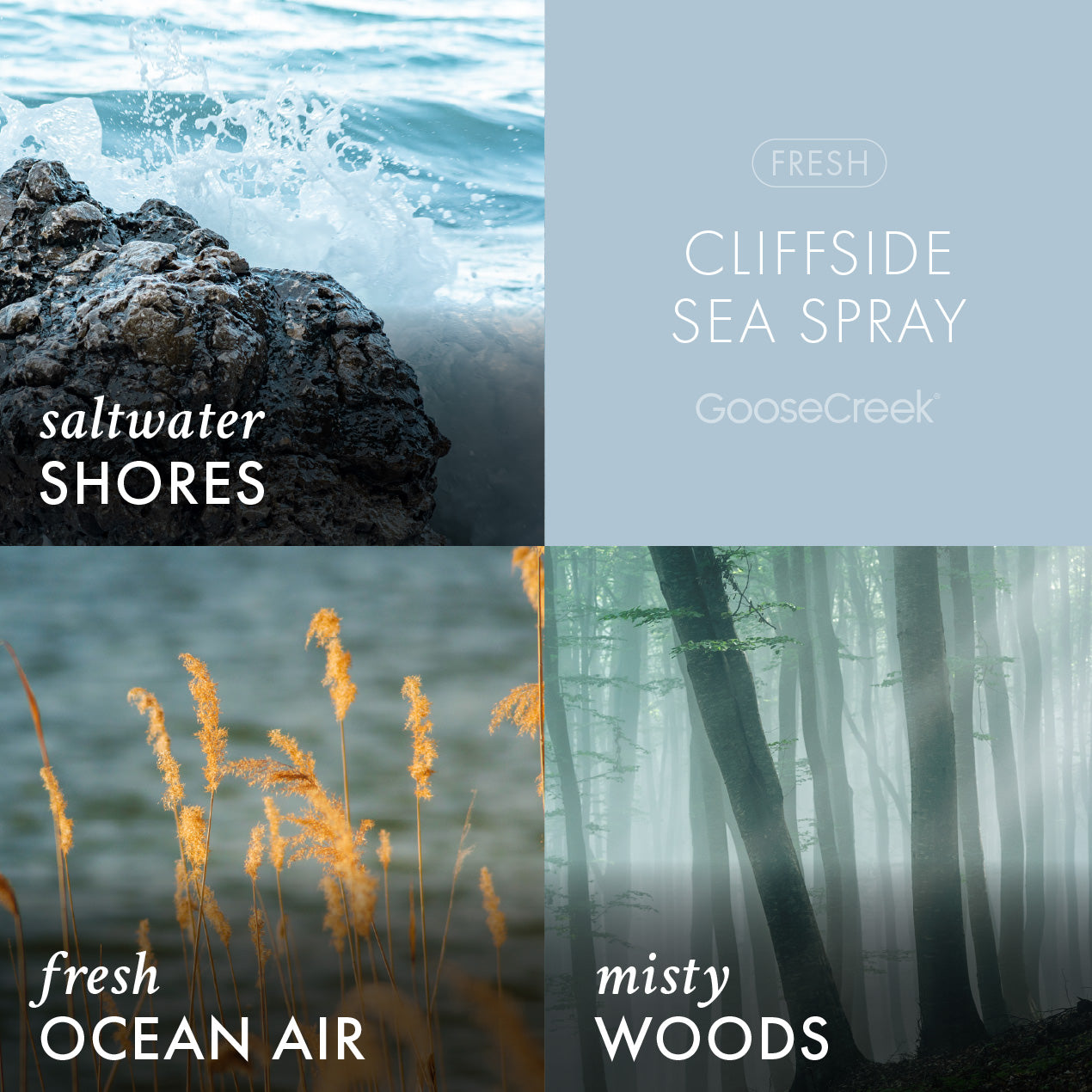 Cliffside Sea Spray Wax Melt