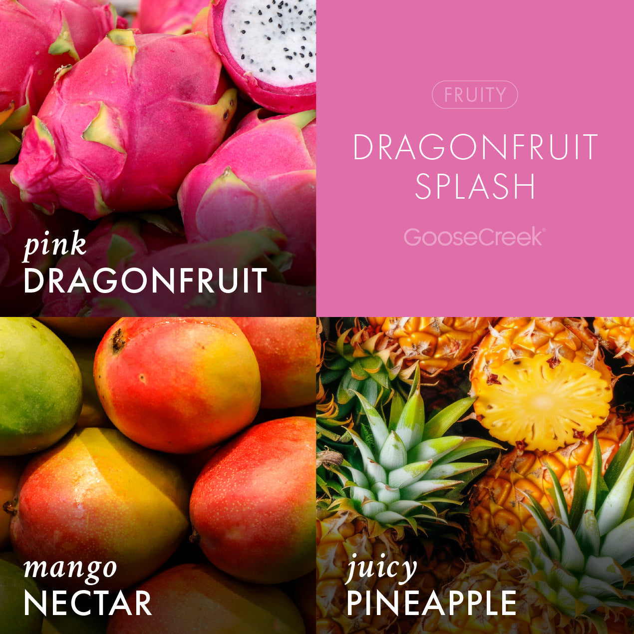 Dragonfruit Splash Plug-In & Refill Bundle