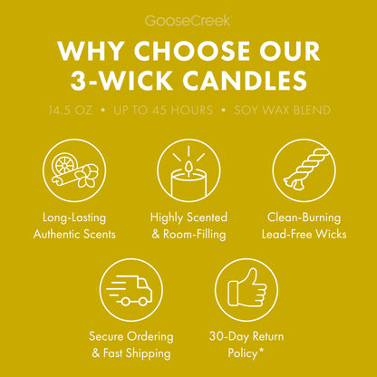 Pina Colada 3-Wick Candle